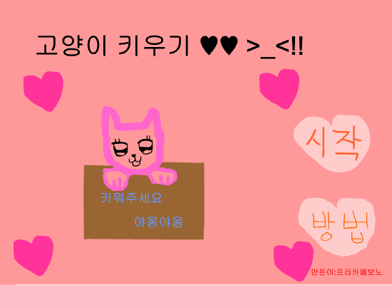 ♥고양이 키우기 게임♥