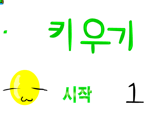 ★콩키우기 1탄